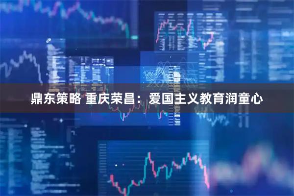 鼎东策略 重庆荣昌：爱国主义教育润童心