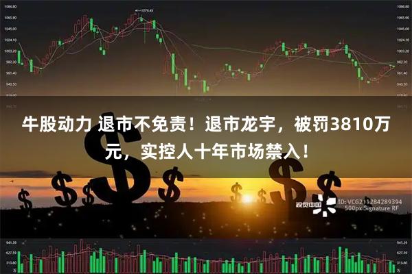 牛股动力 退市不免责！退市龙宇，被罚3810万元，实控人十年市场禁入！