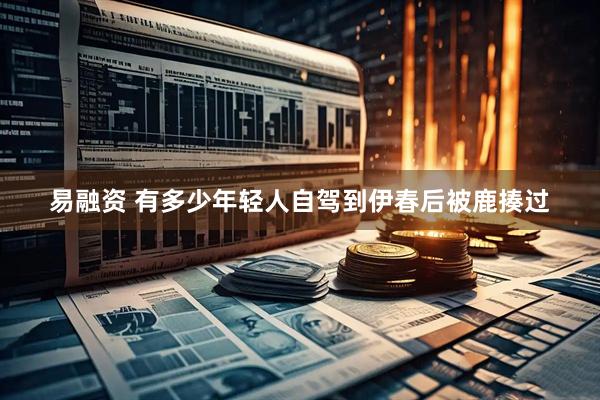 易融资 有多少年轻人自驾到伊春后被鹿揍过