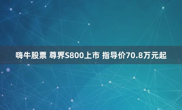 嗨牛股票 尊界S800上市 指导价70.8万元起