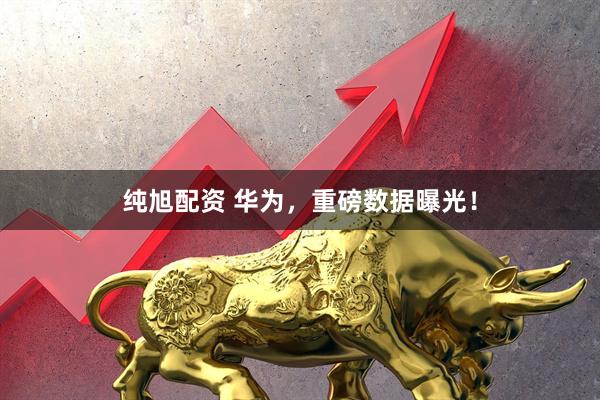 纯旭配资 华为，重磅数据曝光！