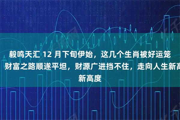 毅鸣天汇 12 月下旬伊始，这几个生肖被好运笼罩，财富之路顺遂平坦，财源广进挡不住，走向人生新高度