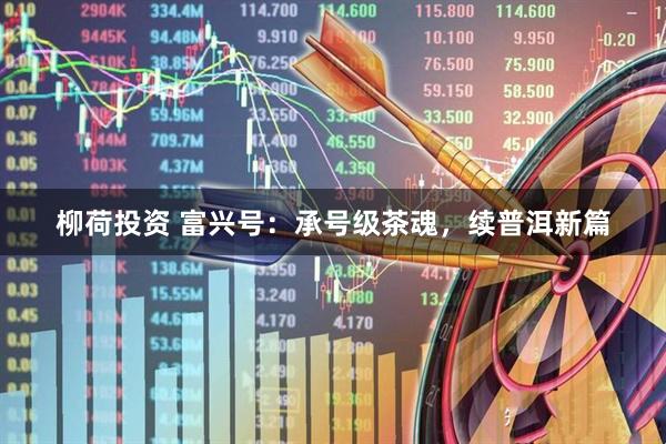 柳荷投资 富兴号：承号级茶魂，续普洱新篇