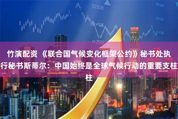 竹演配资 《联合国气候变化框架公约》秘书处执行秘书斯蒂尔：中国始终是全球气候行动的重要支柱